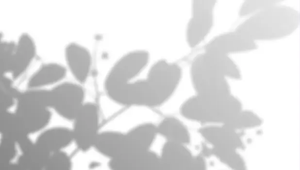 Trauma-informed healing session using somatic therapy and nervous system regulation to release stored trauma and reconnect with self.